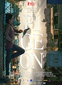 The Pigeon
