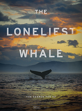 The Loneliest Whale: The Search for 52